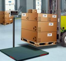 Floor Scale From Alliance Scale Validates Shipping Weights