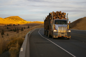 Logging Truck