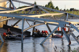 Thousands of bridges at risk of collapse in freak accidents