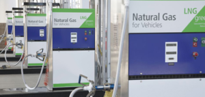 Natural gas pump