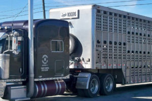 90-Day Waiver from 30-Minute Rest Requirement for Livestock Transport