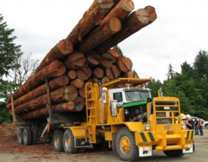 Truck carrying lumber