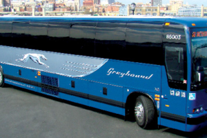 650,000 to Leave the Driving to Greyhound for Thanksgiving