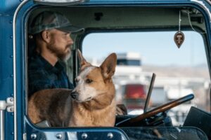 Truckstop Survey Finds 50% of Professional Truck Drivers Travel with Their Pets for Emotional Support